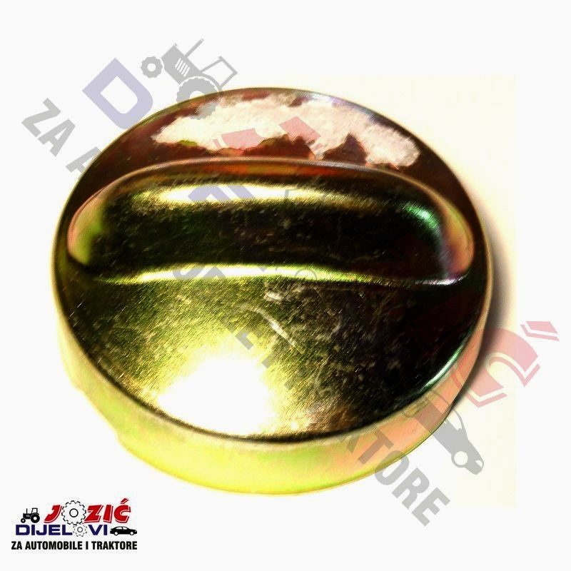 Daisy on the Ohoopee